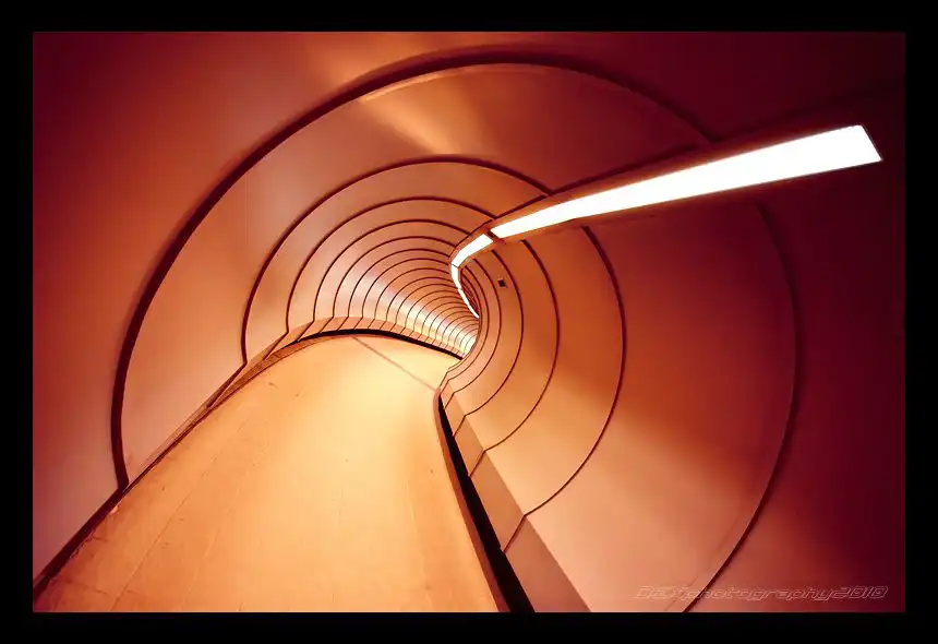 Tunnel Vision
