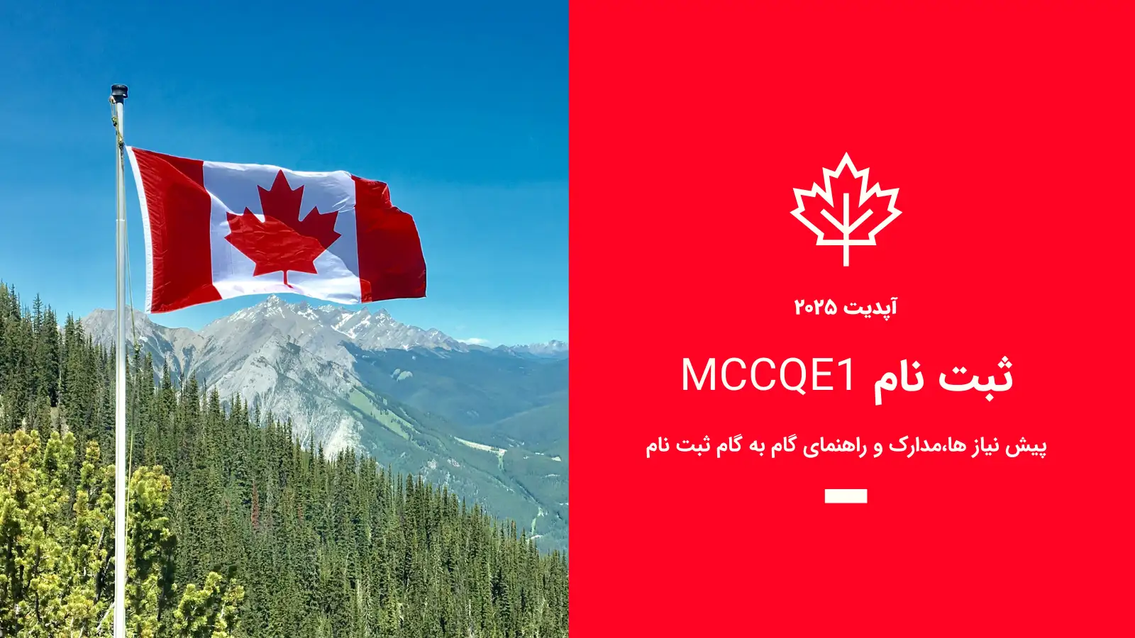 کاور مقاله «MCCQE1 چیست» به‌روزرسانی ۲۰۲۵