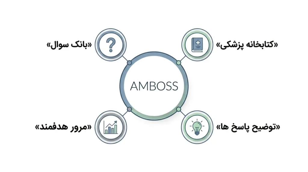 اینفوگرافیک AMBOSS به عنوان پلتفرمی فراتر از بانک سوال